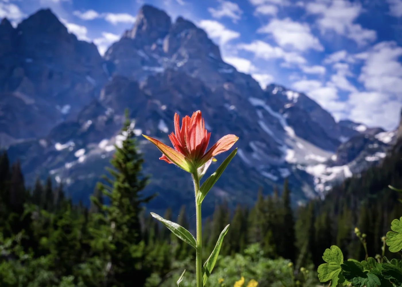 Prairie Fire Salutes The Grand Teton, Wyoming